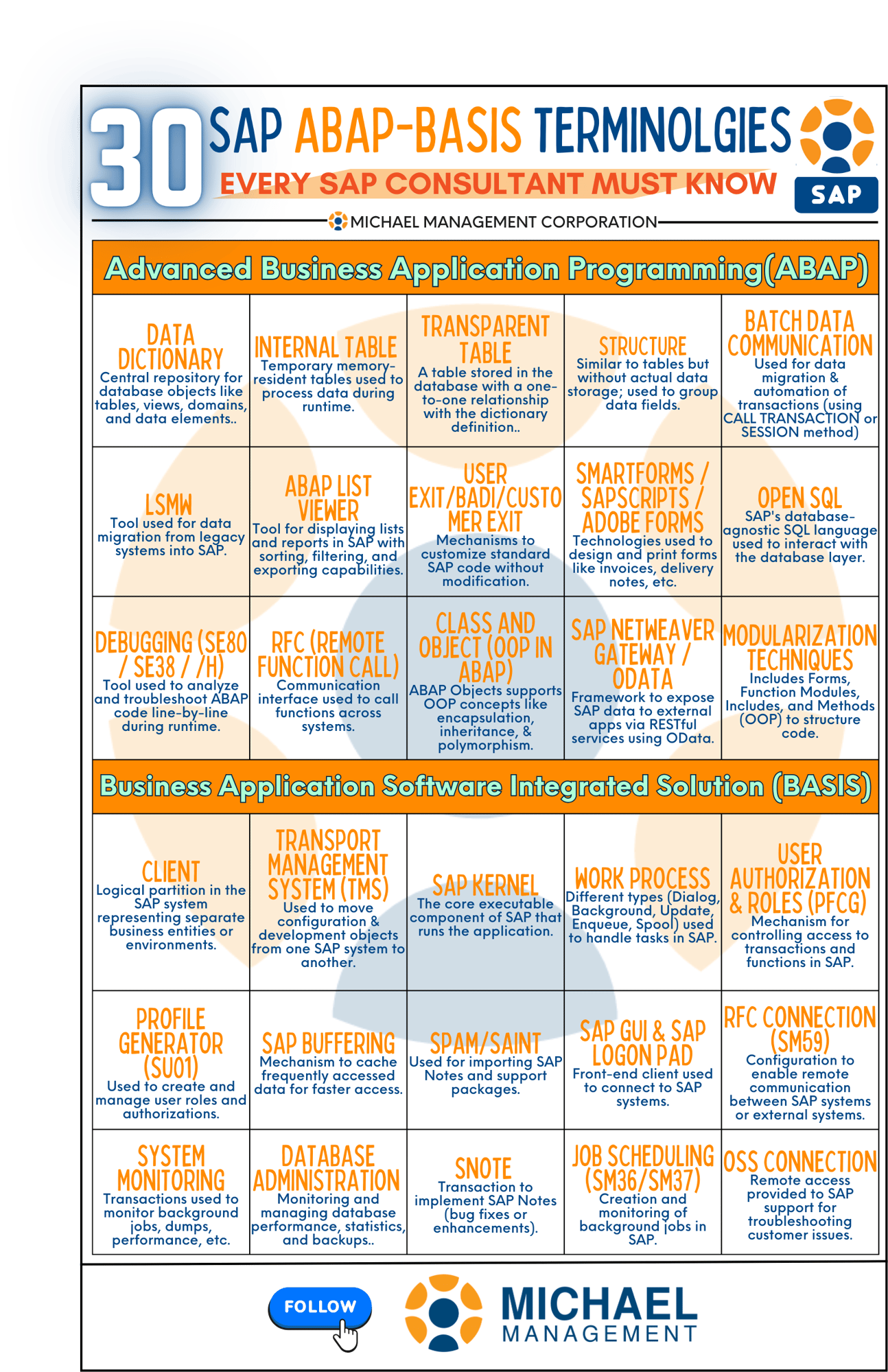 Infographic summarizing 30 SAP ABAP and BASIS terms crucial for consultants.