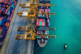 Navigating the World of SAP Transportation Management