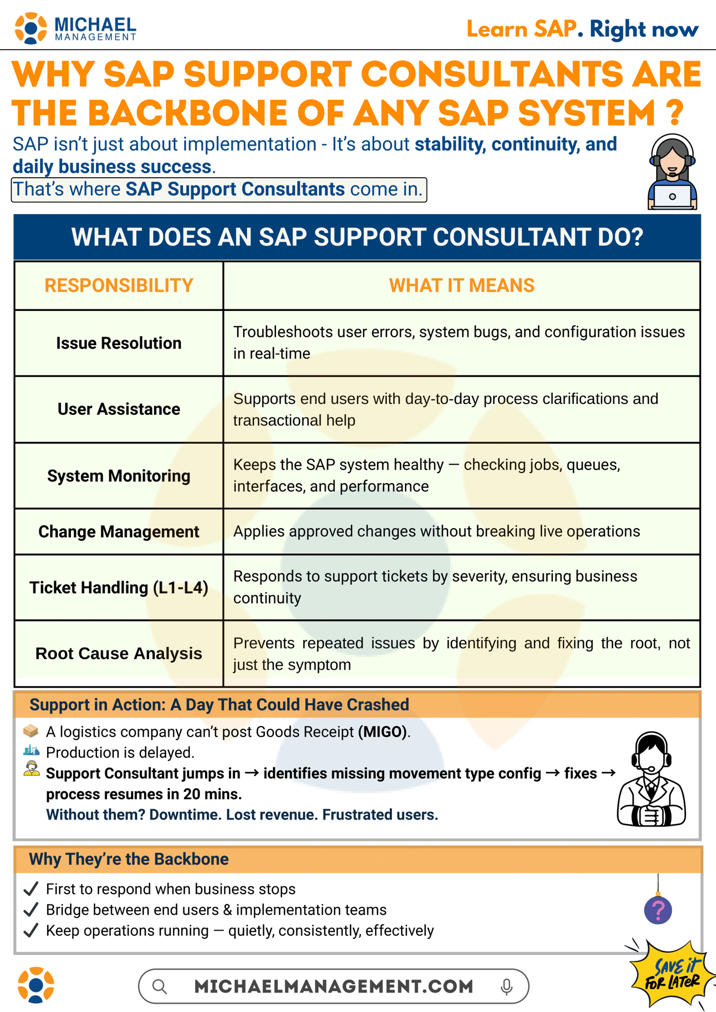 Illustration of an SAP Support Consultant troubleshooting at a computer workstation.