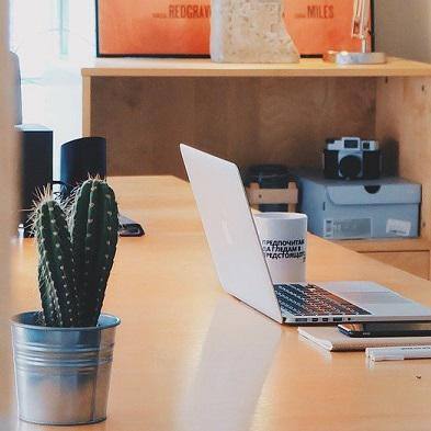 Computer and cactus 