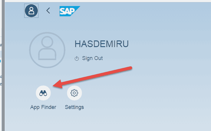 SAP User Access Fiori 2.0