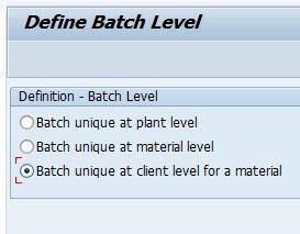 SAP Batch Management