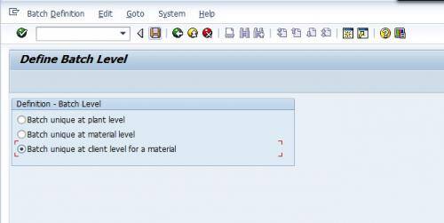 SAP Batch Level Configuration