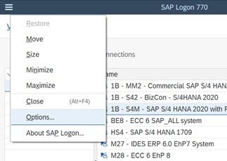 SAP GUI web browser option