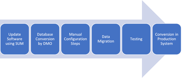 Actual Conversion (Realization)