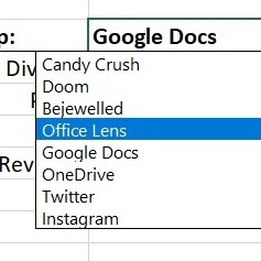 Google Doc Picture